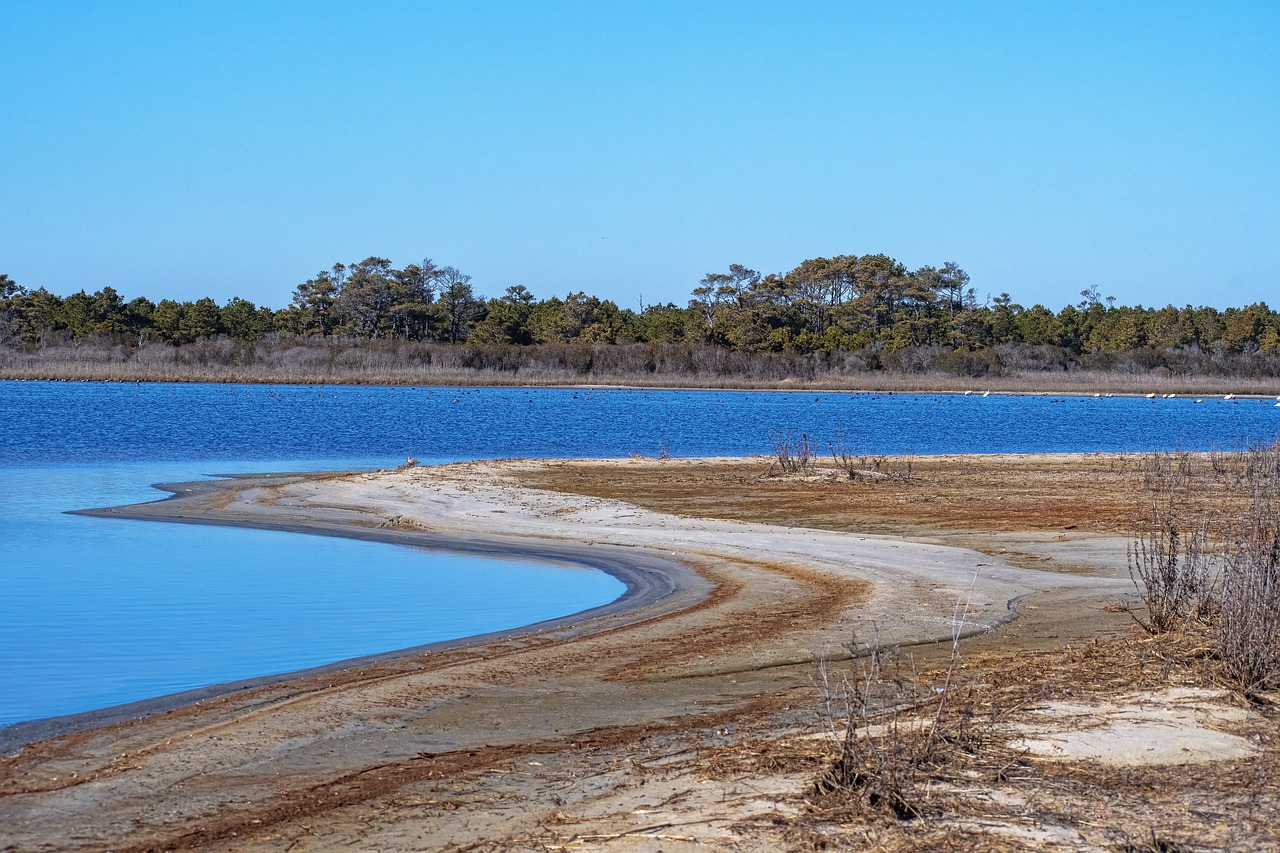 Culinary Delights of Chincoteague, Virginia - 4 Day Itinerary